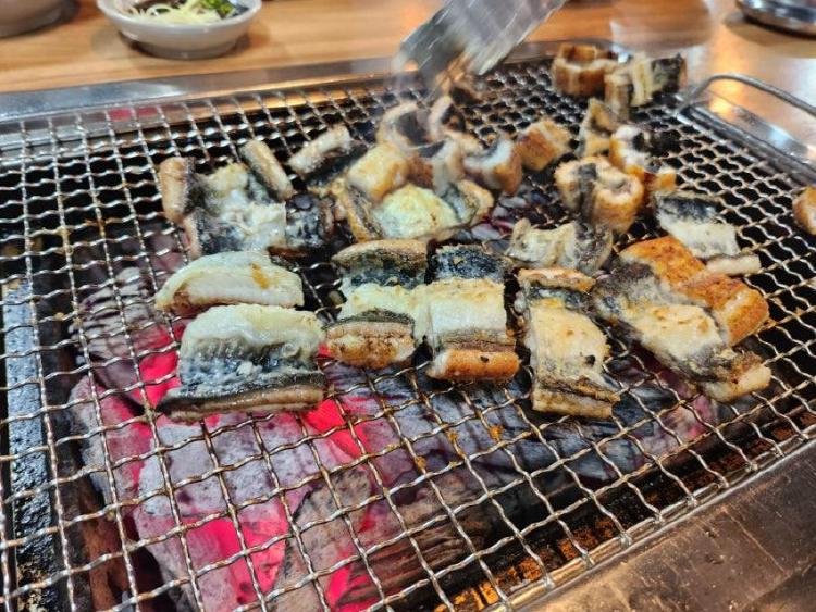 왕숯불민물장어