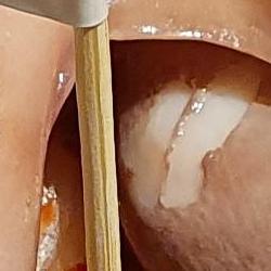 여수 낭만포차 삼합, 진짜 맛있을까? 솔직 후기와 반전 꿀팁!