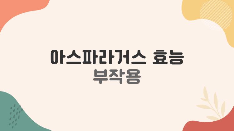 아스파라거스 효능 부작용