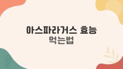 아스파라거스 효능 먹는법, 다이어트 끝판왕 맞네 진짜