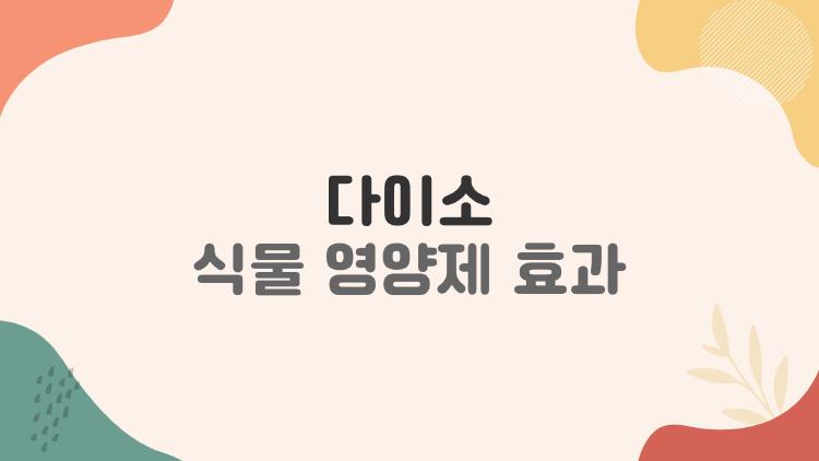 다이소 식물 영양제 효과