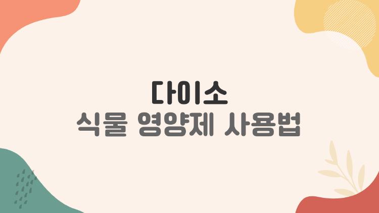 다이소 식물 영양제 사용법