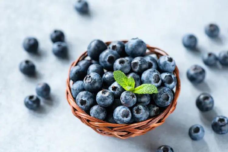 블루베리