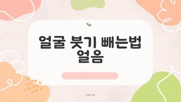 얼굴 붓기 빼는법 얼음