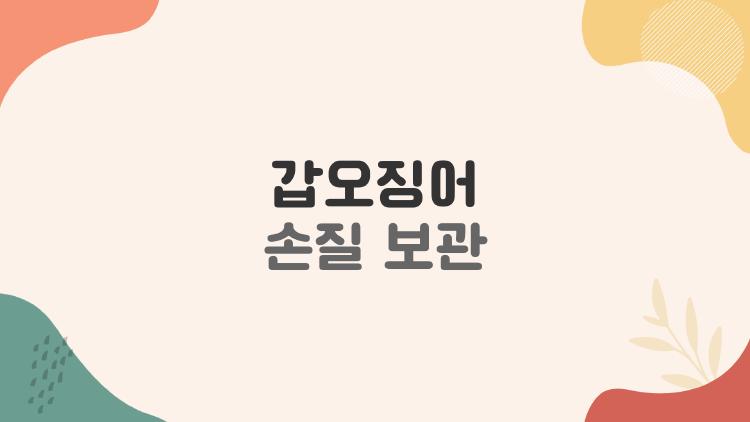 갑오징어 손질 보관