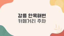 강릉 안목해변 카페거리 주차, 주말 만차 피하는 꿀팁 대공개