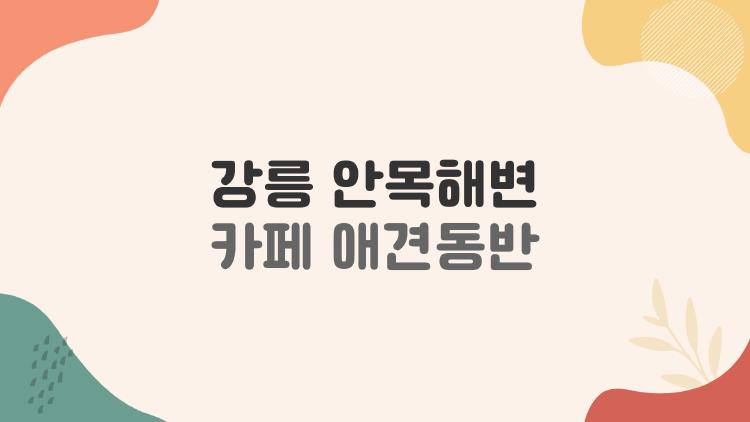 강릉 안목해변 카페 애견동반, 실내까지 가능한 곳은 어디일까