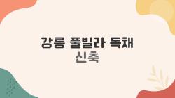 강릉 풀빌라 독채 신축, 겨울 온수 풀에서 가족이 미쳤어요!