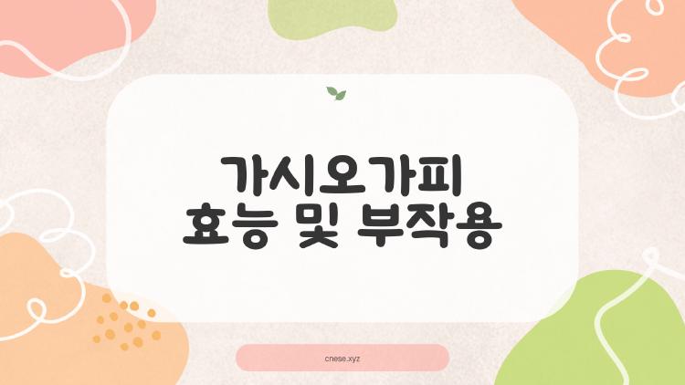 가시오가피 효능 및 부작용, 피로 날리는 산속 비밀 무기?