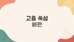 고흥 쑥섬 배편, 예약 없이 갔다가 충격받은 이유
