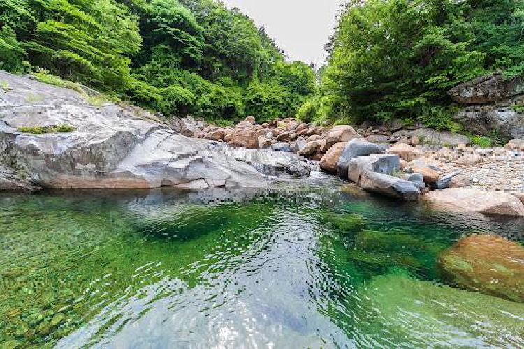 구례 가볼만한곳 계곡, 2026 무료 주차로 대박 편해진 명소들