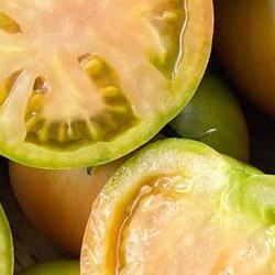 짭짤이토마토 철, 지금 안 사면 후회할 맛집 토마토 비밀