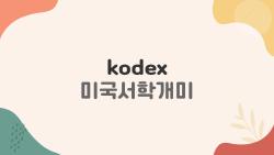 KODEX 미국서학개미 지금 사면 대박? 실제 수익률 충격 숫자