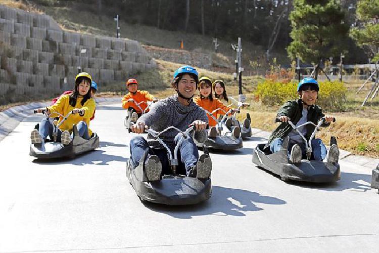 루지 가격, 3만 원대에 이런 스릴 느낄 수 있다고?