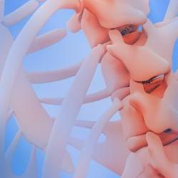 요추염좌 회복기간, 2주 만에 사라진 비밀 대처법