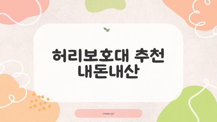 허리보호대 추천 내돈내산, 삐끗한 내 허리 살려준 진짜 쓰는 TOP3