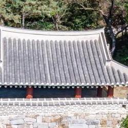 3월 가볼만한곳 경기도, 튤립 축제 가기 전에 꼭 알아야 할 팁