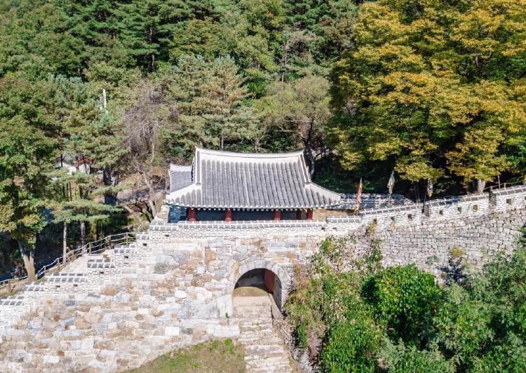 3월 가볼만한곳 경기도, 튤립 축제 가기 전에 꼭 알아야 할 팁