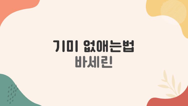 기미 없애는법 바세린