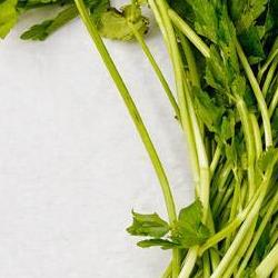 미나리 효능 요리, 숙취 날리는 과학적 비밀 폭발