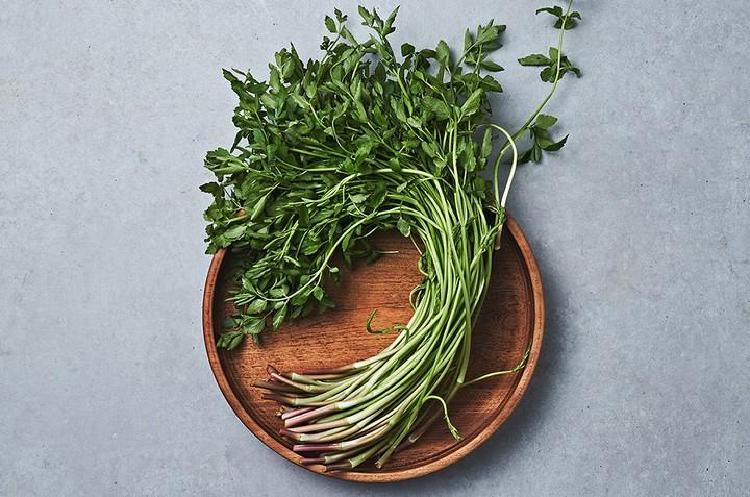 미나리 효능 효과가 당신 몸 바꾼다고?