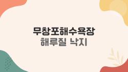 무창포해수욕장 해루질 낙지, 물때 딱 맞췄더니 대박 터졌다!