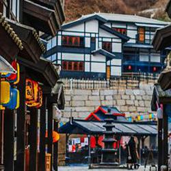 니지모리 스튜디오 애견동반 완전 정복, 15kg 제한 피하는 법