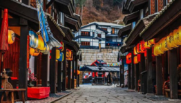 니지모리 스튜디오 애견동반 완전 정복, 15kg 제한 피하는 법