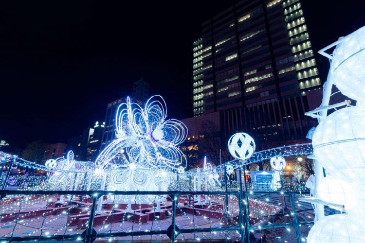 삿포로 화이트 일루미네이션
