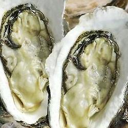 섬진강 벚굴 식당, 크기 실화냐? 입 터질듯 통통함에 반함