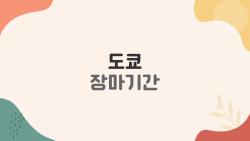 도쿄 장마기간, 비 맞아도 후회없는 여행 꿀팁 대공개