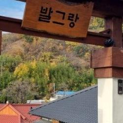 원동 매화축제 카페, 이곳만 알면 후회없는 뷰 맛집 TOP3!