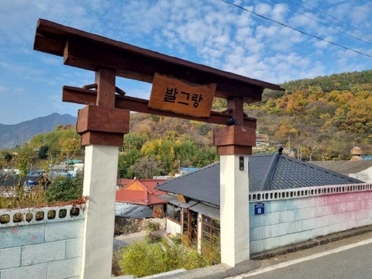 원동 매화축제 카페, 이곳만 알면 후회없는 뷰 맛집 TOP3!