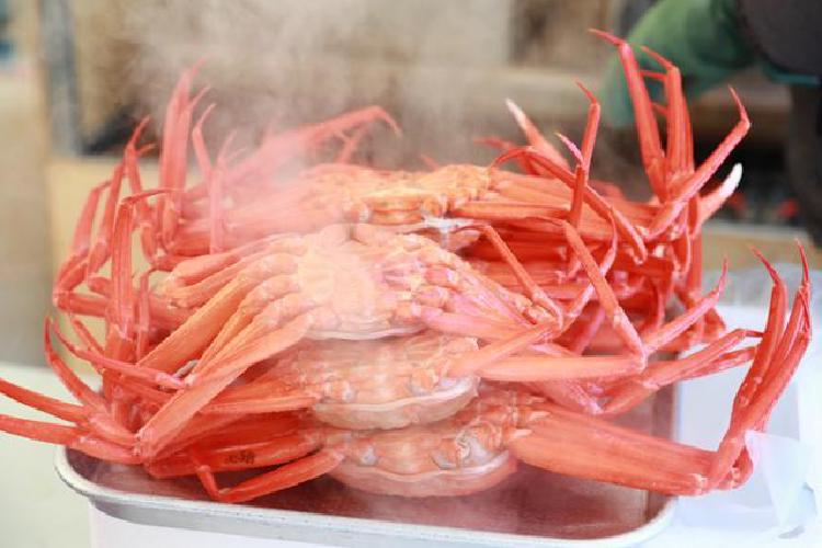 대게축제 영덕 가격, 6만 원에 배 터지게 먹는 꿀팁 공개