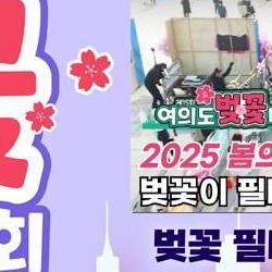 여의도 벚꽃 마라톤대회 2026, 초보자도 완주한 비밀 코스 공개