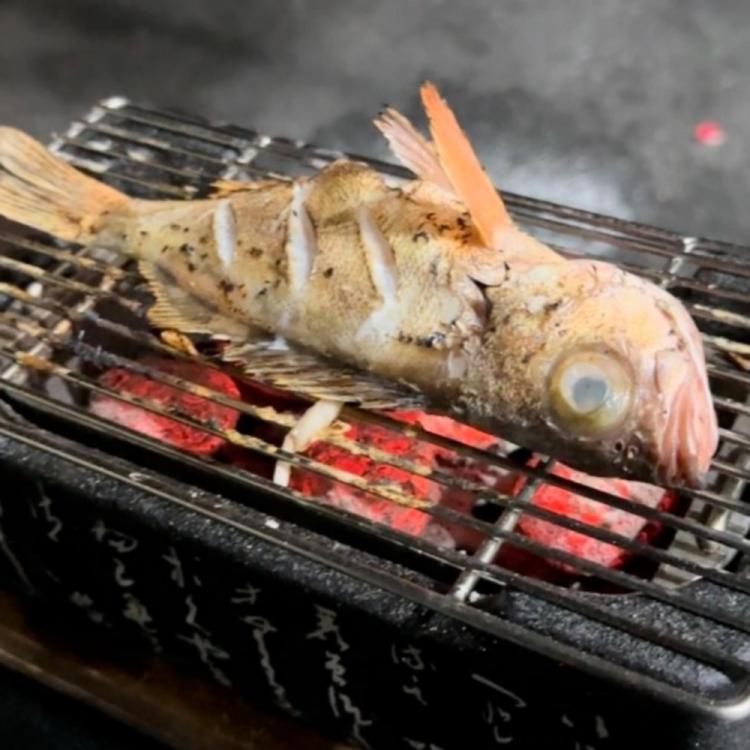 열기 생선구이 손질방법, 초보자도 10분만에 레스토랑급 완성!